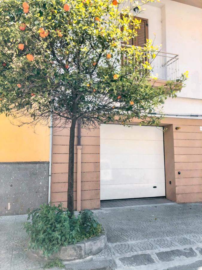 Free Private Parking, New Apartment Alghero Zewnętrze zdjęcie